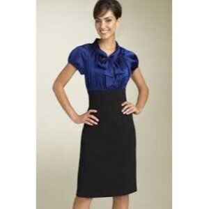 Suzi Chin for Maggy Boutique Aline Dress Short Sleeve Office Women's Size 10